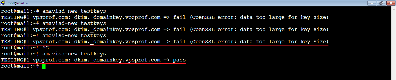 Test DKIM Pass after Error Data too Large for Key Size
